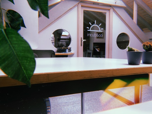 incub&co Business School Lausanne